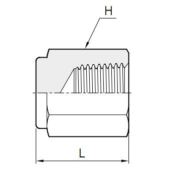 Sechskant-Gewindekappe, NPT-Innengewinde